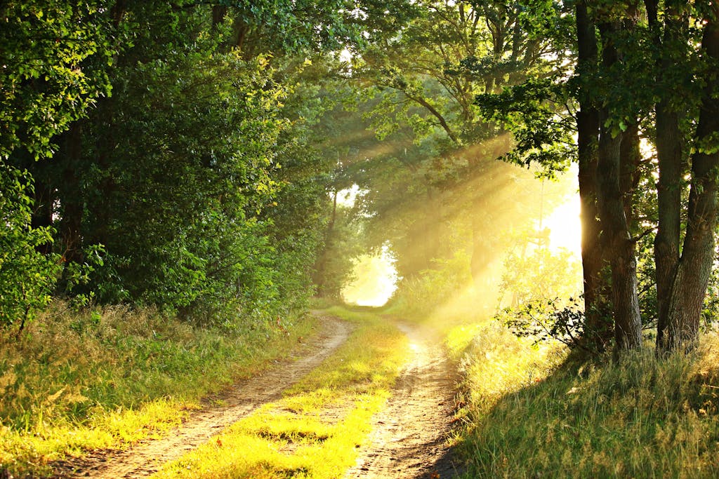 Life Lessons From Sunlight