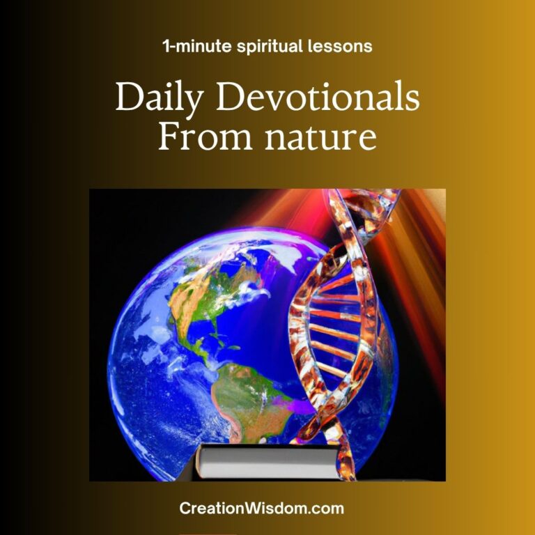 One-Minute Short Daily Devotionals From Nature